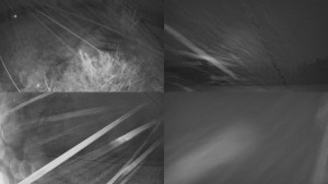 Bludný - Rajnochovice Troják - Sdružený snímek Bludný - 11.12.2025 v 06:31 Bludný - Rajnochovice Troják - Sdružený snímek Bludný - 11.12.2025 v 06:31