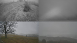 Sdružený snímek Bludný