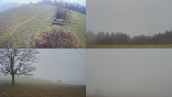 Sdružený snímek Bludný