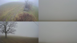 Sdružený snímek Bludný