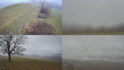 Sdružený snímek Bludný