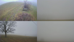 Sdružený snímek Bludný