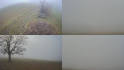 Sdružený snímek Bludný