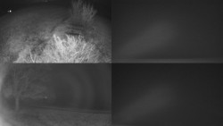 Sdružený snímek Bludný