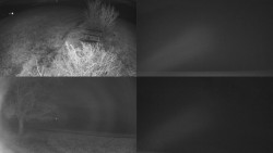 Sdružený snímek Bludný