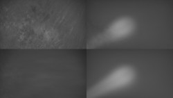 Sdružený snímek Bludný