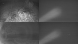 Sdružený snímek Bludný