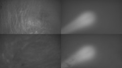 Sdružený snímek Bludný