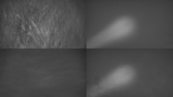 Sdružený snímek Bludný