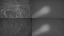 Sdružený snímek Bludný