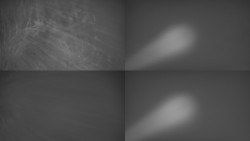 Sdružený snímek Bludný