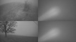 Sdružený snímek Bludný