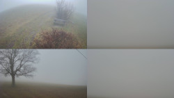 Sdružený snímek Bludný