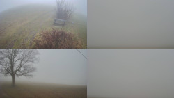 Sdružený snímek Bludný