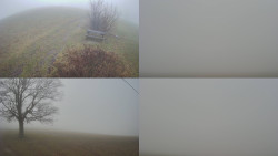 Sdružený snímek Bludný