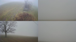 Sdružený snímek Bludný