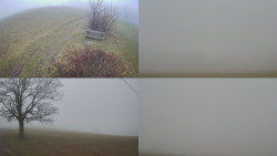 Sdružený snímek Bludný