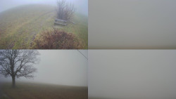 Sdružený snímek Bludný