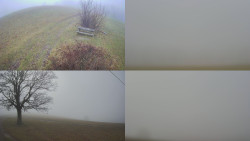 Sdružený snímek Bludný