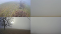 Sdružený snímek Bludný