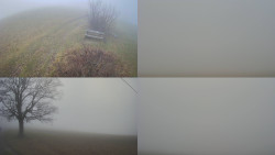 Sdružený snímek Bludný