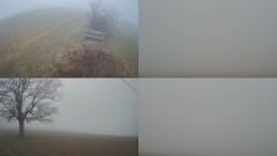 Sdružený snímek Bludný