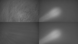 Sdružený snímek Bludný