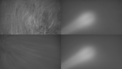 Sdružený snímek Bludný