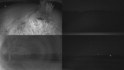 Sdružený snímek Bludný