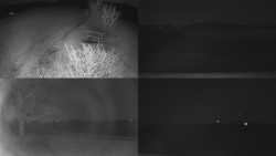 Sdružený snímek Bludný