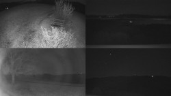 Sdružený snímek Bludný