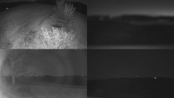 Sdružený snímek Bludný