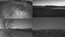 Sdružený snímek Bludný