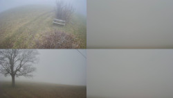 Sdružený snímek Bludný