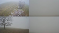 Sdružený snímek Bludný