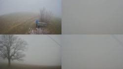 Sdružený snímek Bludný