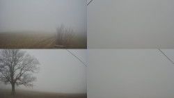 Sdružený snímek Bludný