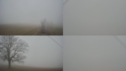 Sdružený snímek Bludný