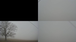 Sdružený snímek Bludný