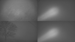 Sdružený snímek Bludný