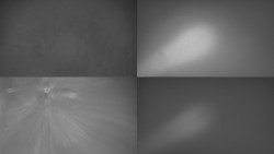 Sdružený snímek Bludný