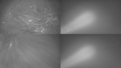 Sdružený snímek Bludný