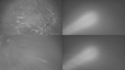 Sdružený snímek Bludný