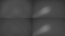 Sdružený snímek Bludný