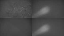 Sdružený snímek Bludný