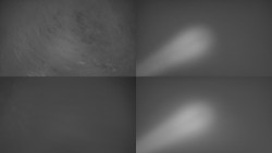 Sdružený snímek Bludný