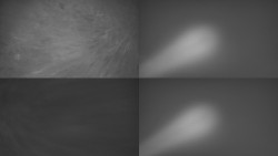 Sdružený snímek Bludný