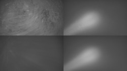 Sdružený snímek Bludný