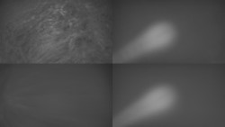 Sdružený snímek Bludný