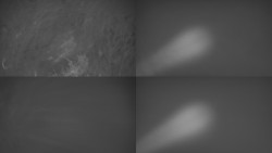 Sdružený snímek Bludný